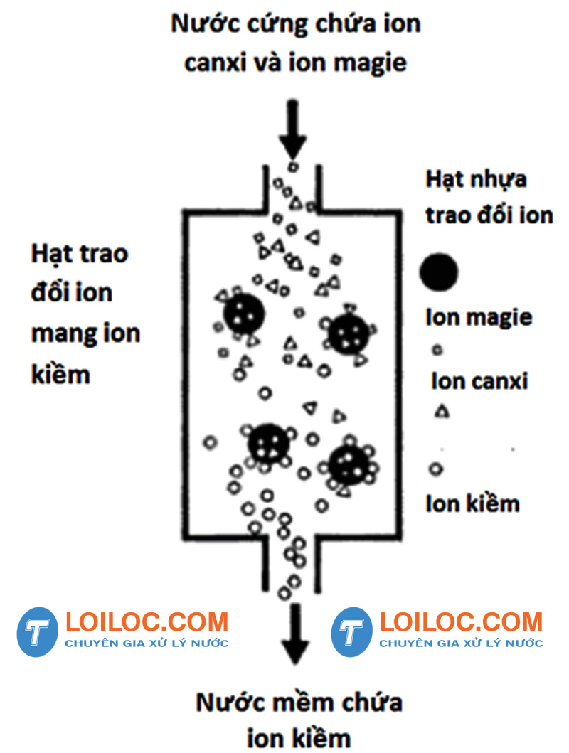 Nguyên lý hoạt động của hạt cation